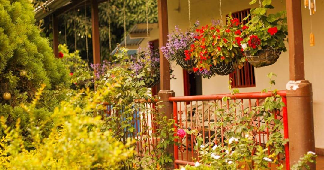 Villa Sonia Eco-Hostel Gigante Exterior foto